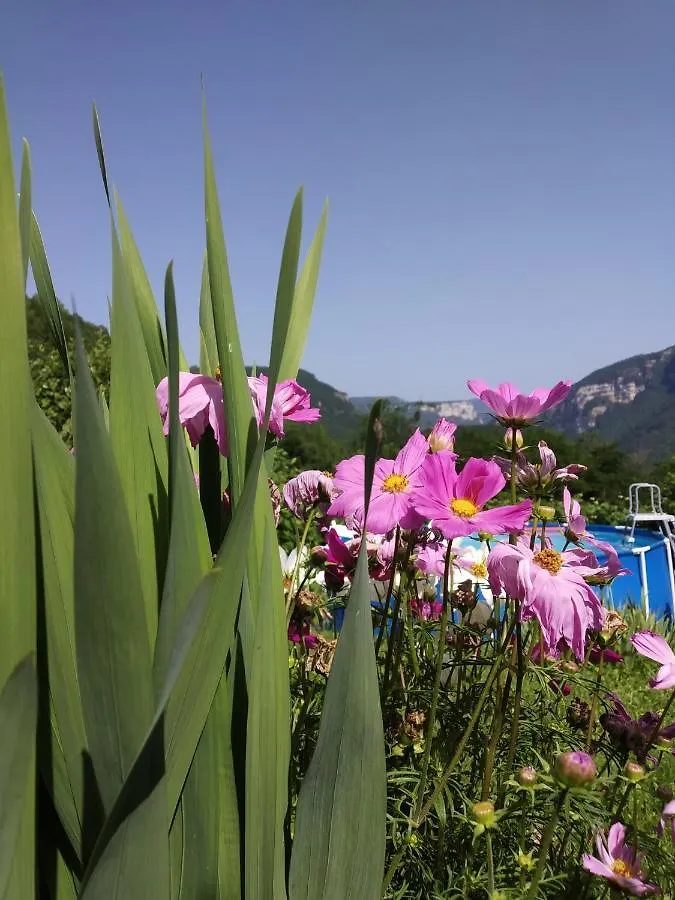 Au Chalet D'Anna Saint-Rambert-en-Bugey France